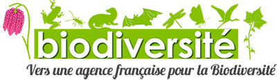 ACTU : Hubert REEVES nommé à la tête de la nouvelle Agence Française de la Biodiversité